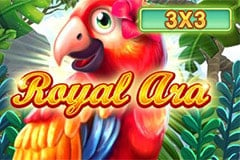 Royal Ara 3x3