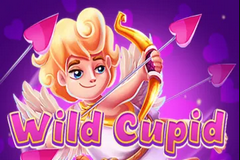 Wild Cupid