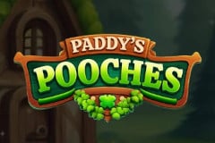 Paddy's Pooches