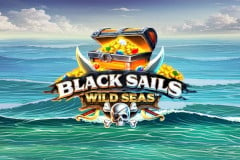 Black Sails Wild Seas™