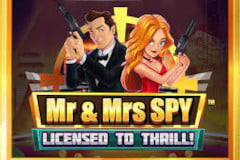 Mr & Mrs Spy