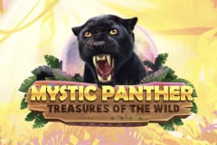 Mystic Panther Treasures of the Wild