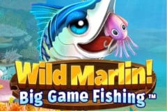 Wild Marlin! Big Game Fishing