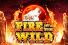 Fire of the Wild