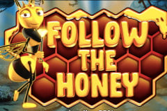 Siga la reseña de Honey Slot