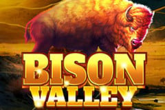 Bison Valley