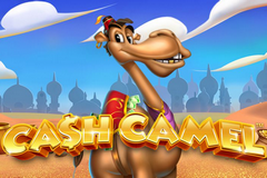 Cash Camel