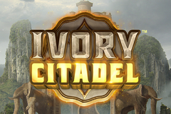 Ivory Citadel