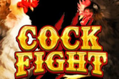 Cock Fight