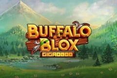 Buffalo Blox Gigablox