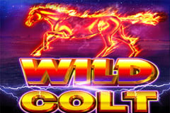 Wild Colt