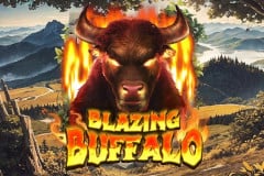 Blazing Buffalo