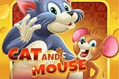 Cat and Mouse