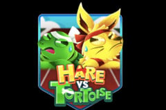 Hare vs Tortoise