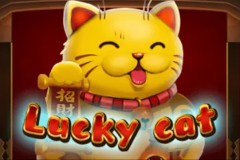 Lucky Cat