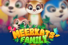 Meerkats Family