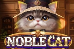 Noble Cat