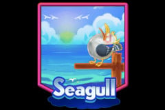 Seagull