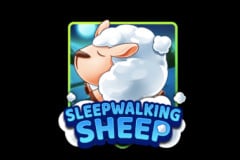 Sleepwalking Sheep