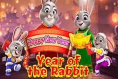 Year of the Rabbit