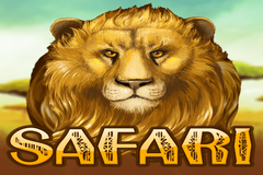 Safari