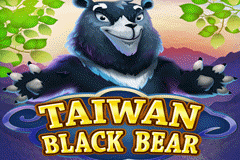 Taiwan Black Bear