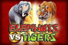 Elephants vs Tigers