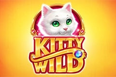 Kitty Wild