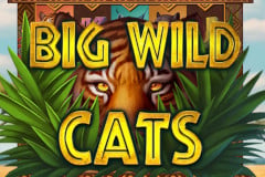 Big Wild Cats