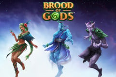 Brood of Gods?