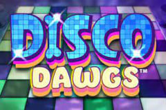 Disco Dawgs