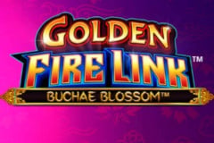 Golden Fire Link Buchae Blossom™