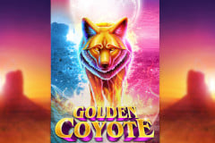 Golden Coyote