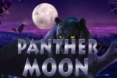 Panther Moon