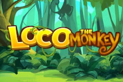 Loco the Monkey