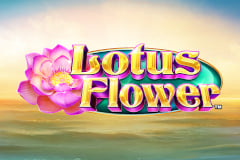 Lotus Flower