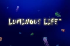 Luminous Life