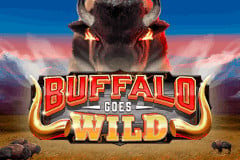 Buffalo Goes Wild