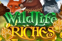 Wildlife Riches