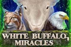 White Buffalo Miracles