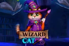 The Wizard Cat