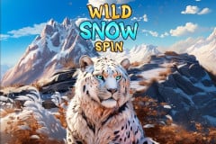 Wild Snow Spin