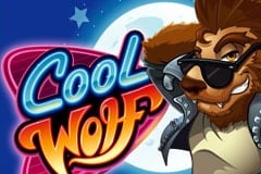 Cool Wolf