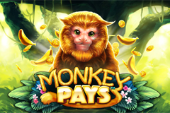 Monkey Pays