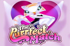 The Purrfect Match