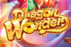 Dragon Wonder