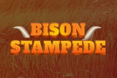 Bison Stampede