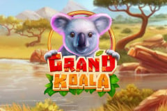 Grand Koala