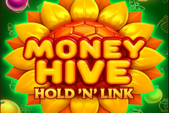 Money Hive Hold 'N' Link