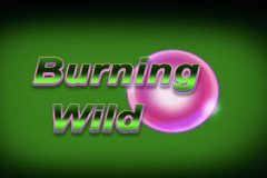 Burning Wild